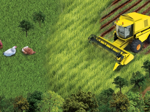 «Наша Ряба» - крок вперед